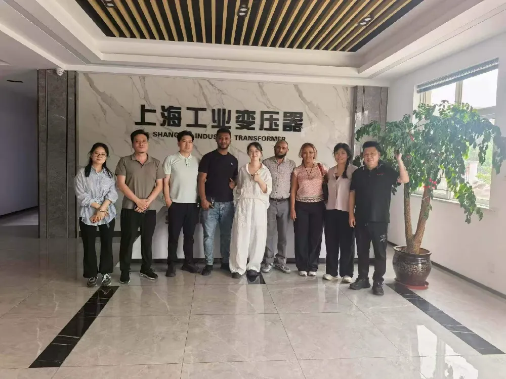 Serdecznie witamy! Delegacja etiopska odwiedza Shanghai Industrial Transformer Co., Ltd. w celu wymiany transformatorów i sprzętu do dystrybucji energii
